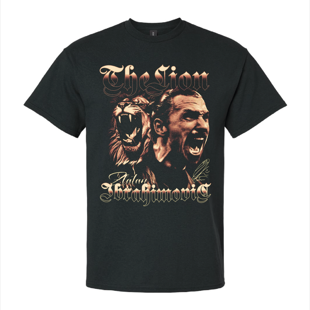 Ibrahimović #1 — Étoiles du Football